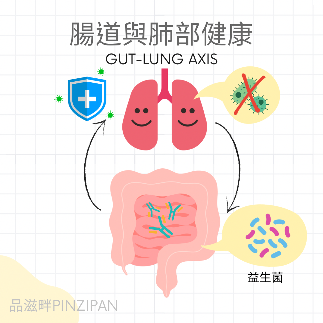 腸道與肺的健康－封面圖